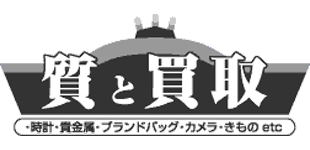 株式会社阪南下出質舗